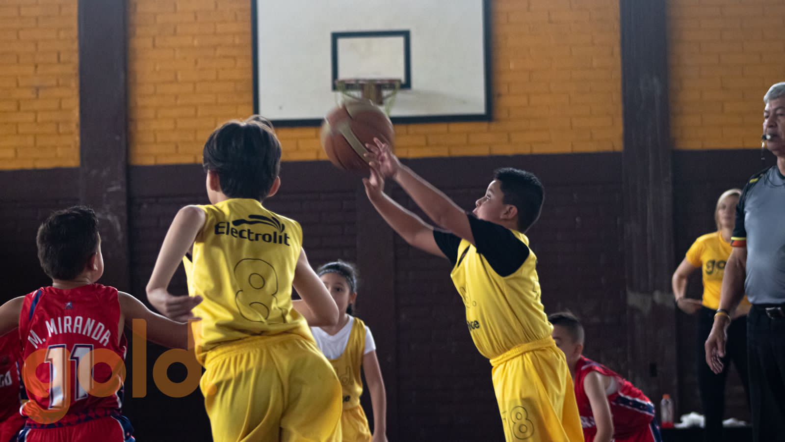 Gold Minibasketball 05