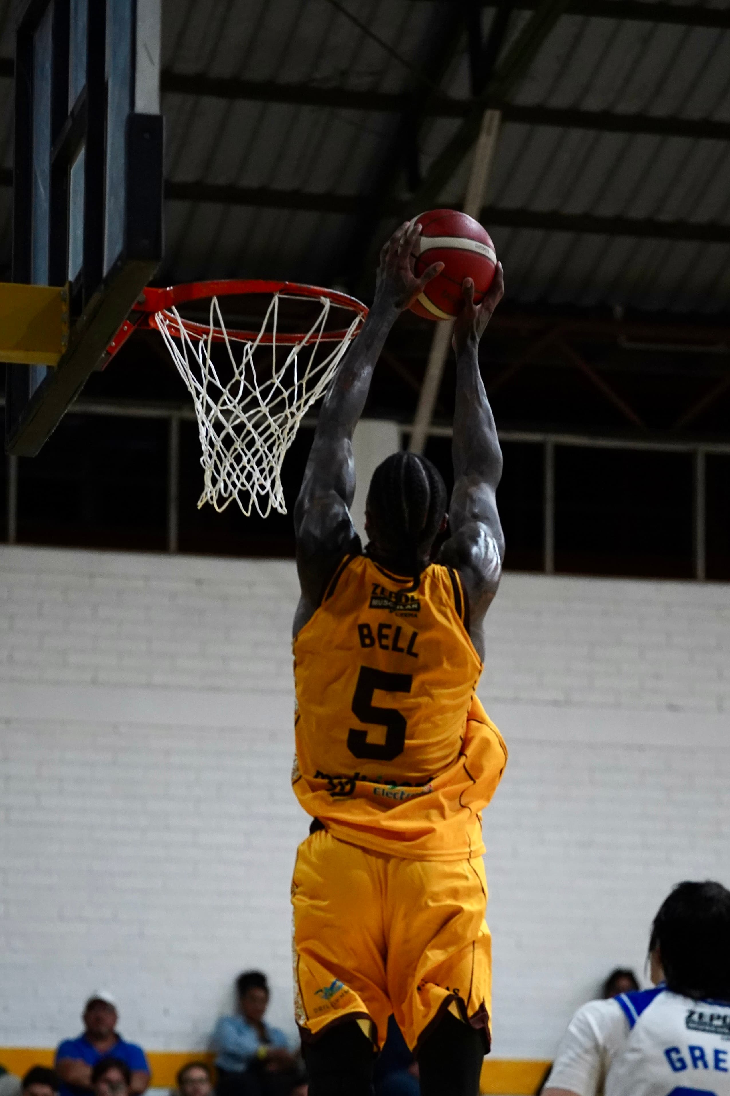 LSMB Gold Elite 13
